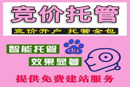 SEM托管公司运营案例精选